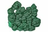 Sparkling, Botryoidal Malachite Cluster - Congo #175371-1